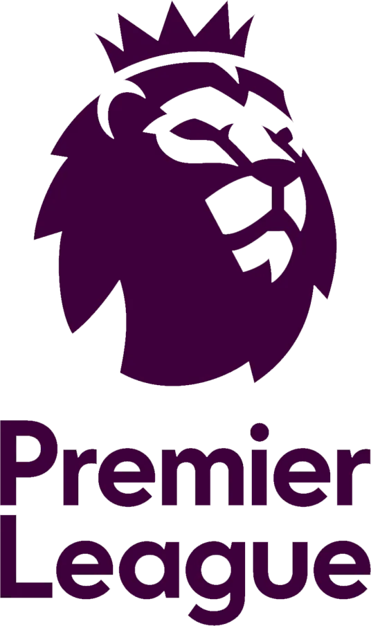 英超 富勒姆vs狼队20231128